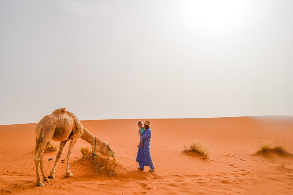 Moroccan man holds young child in the Sahara Desert as they both look at a camel standing next to them