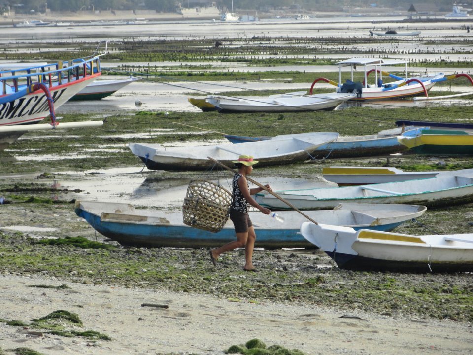 Low tide on Nusa Lembongan