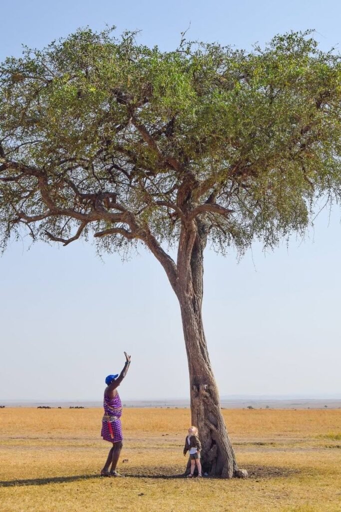 A Maasai guide and young child stand underneath an Acacia tree, looking up at it.