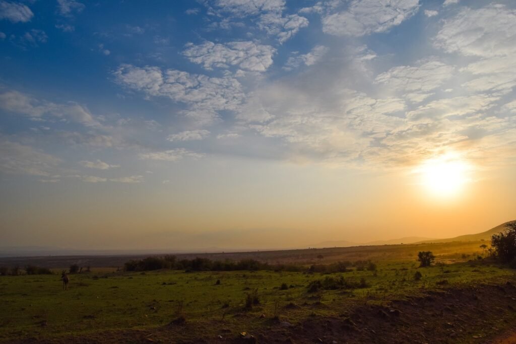 Sunrise over the Masai Mara