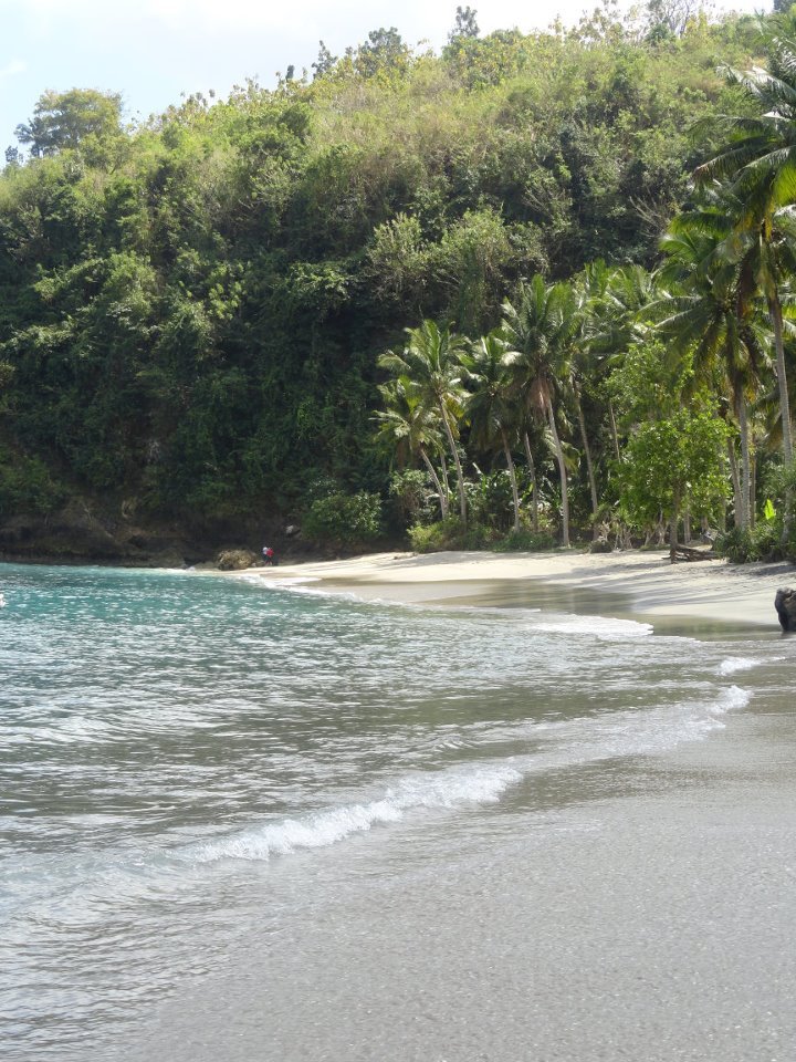 Nusa Lembongan Beach backed by rainforest