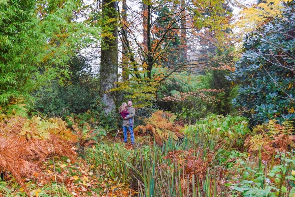 Father and young daughter standing among the Scottish autumn trees, with deep orange and yellow colours